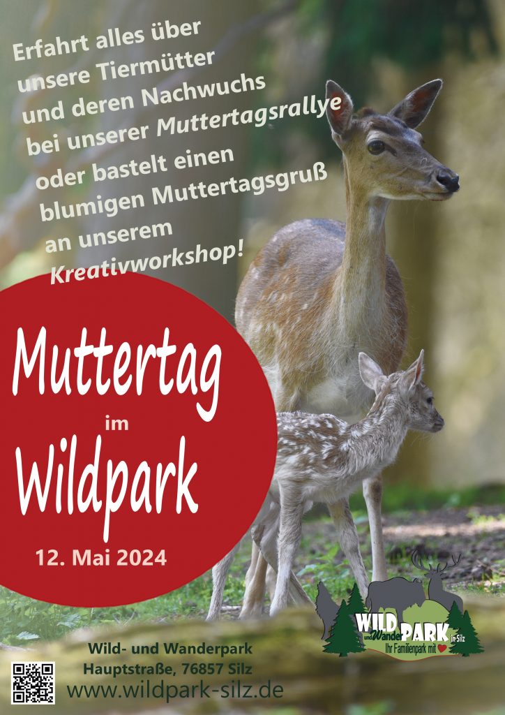 (c) Wildpark-silz.de